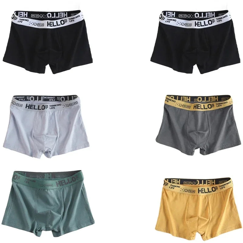 6-Piece Men's Cotton Underwear Set - Breathable Boxer Shorts - Various Colors