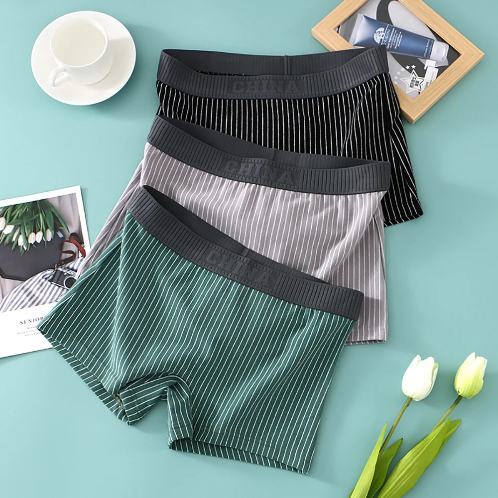 3PCS Women's Cotton Briefs Pack – Soft, Breathable, High Elasticity, Striped Mid-Rise Underwear for Women