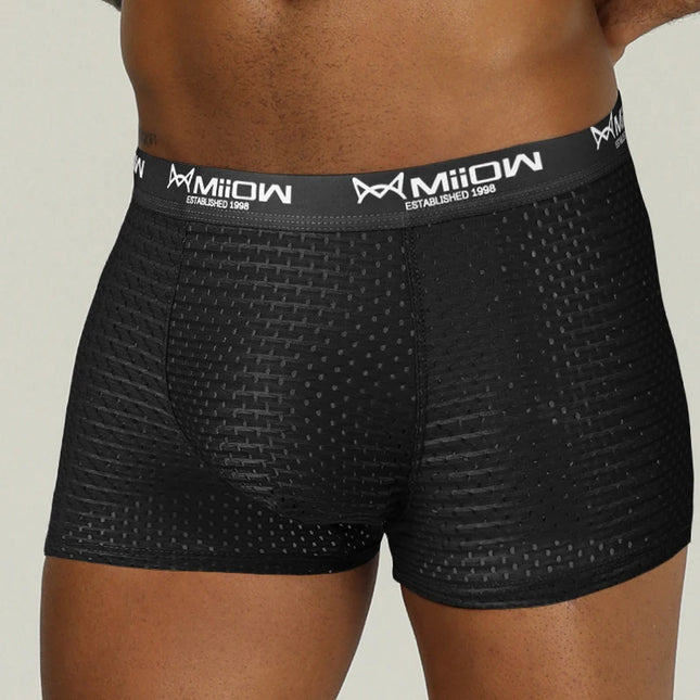 MiiOW Men's 3-Pack Mesh Boxer Briefs