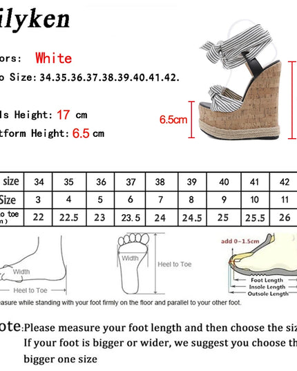 Eilyken Women's High Heel Ankle Strap Shoes