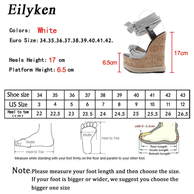 Eilyken Women's High Heel Ankle Strap Shoes