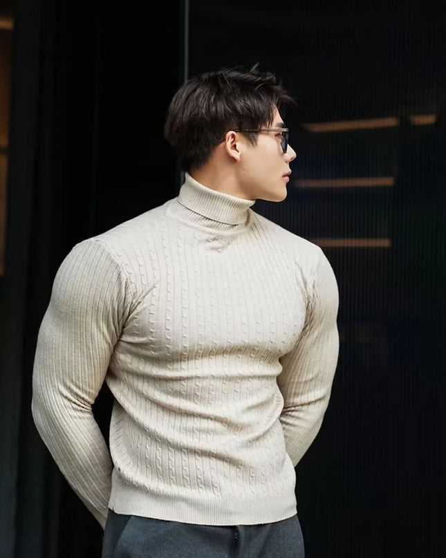 Men's Striped Knit Long Sleeve Turtleneck Sweater