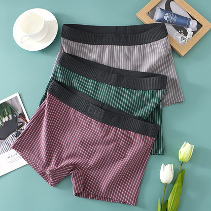 3PCS Women's Cotton Briefs Pack – Soft, Breathable, High Elasticity, Striped Mid-Rise Underwear for Women
