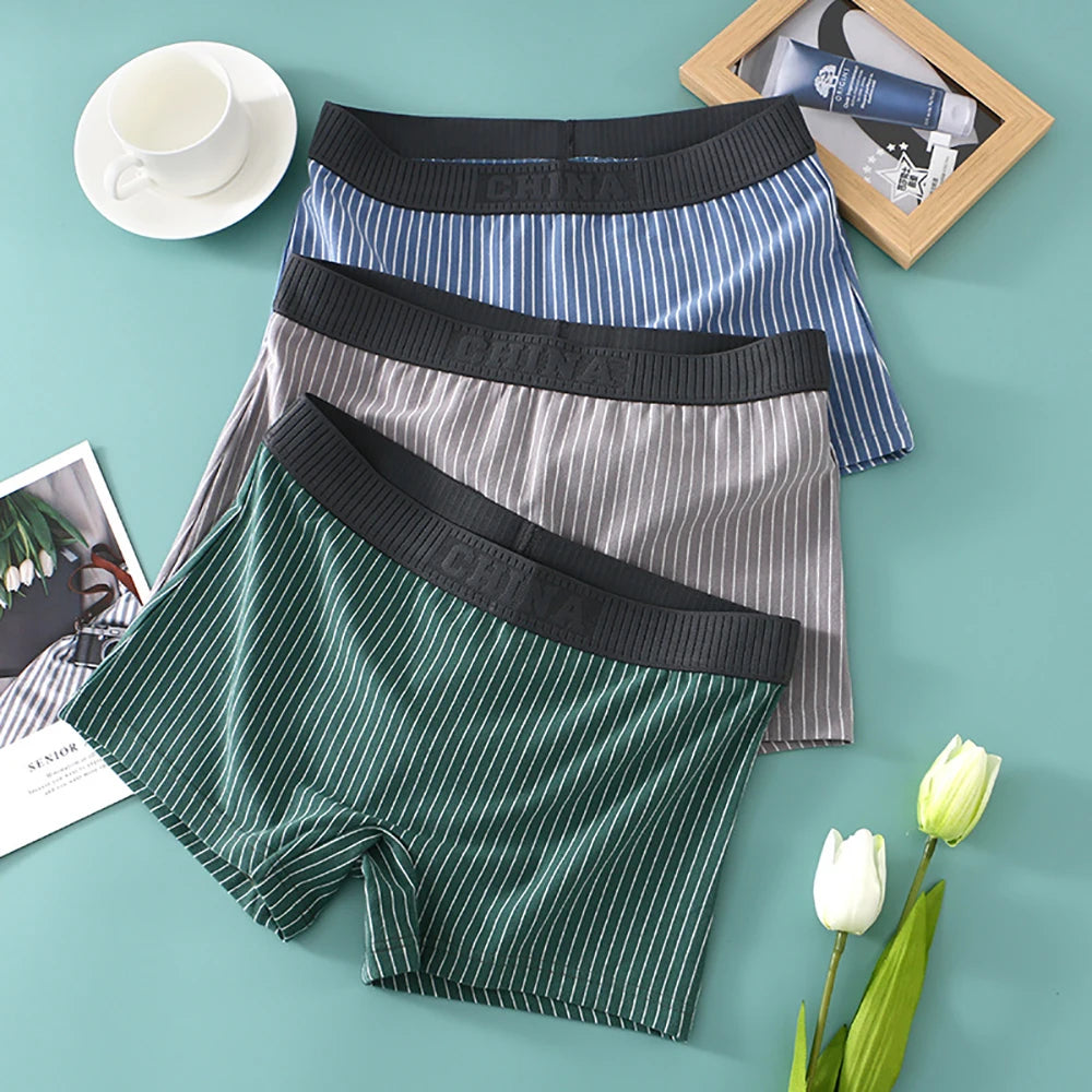 3PCS Women's Cotton Briefs Pack – Soft, Breathable, High Elasticity, Striped Mid-Rise Underwear for Women