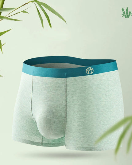 Green boxer briefs with a blue waistband on a light green background with bamboo leaves.