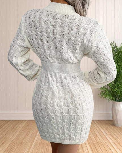 Women's Long Sleeve Knit Sweater Dress – Bodycon Crewneck Pullover