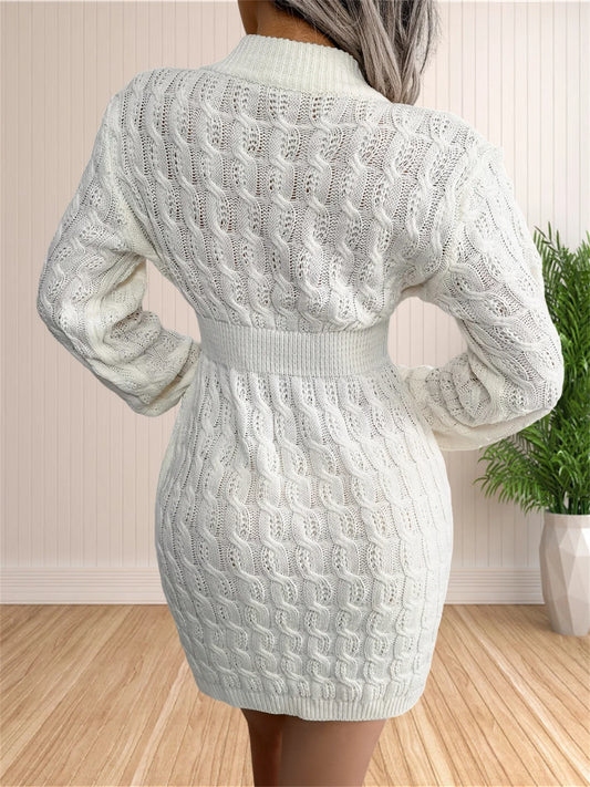 Women's Long Sleeve Knit Sweater Dress – Bodycon Crewneck Pullover