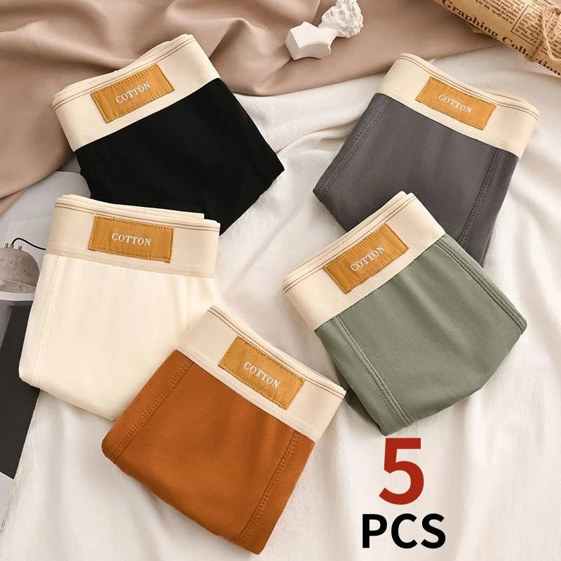 5-Pack Men's Pure Cotton Boxer Shorts 