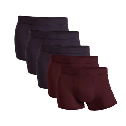 Five-Pack Bamboo Boxers for Men