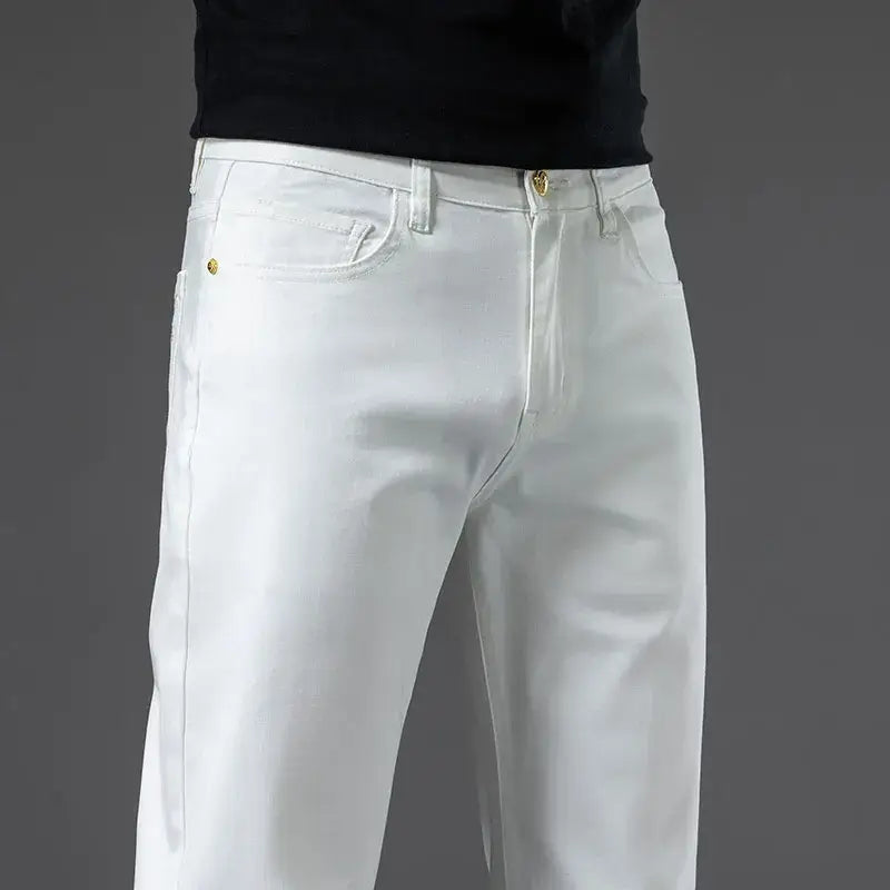Men's Casual Straight Fit Stretch Cotton Pants