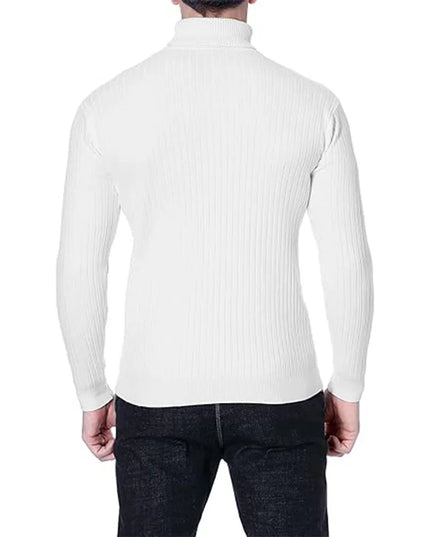 Men's Casual Slim Fit Turtleneck Sweater