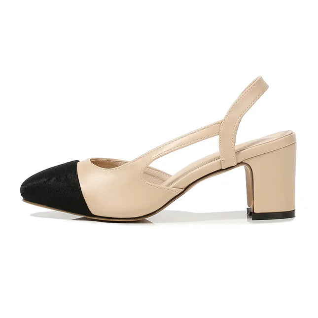 Women's Pointed Toe Sandals with Low Square Heels