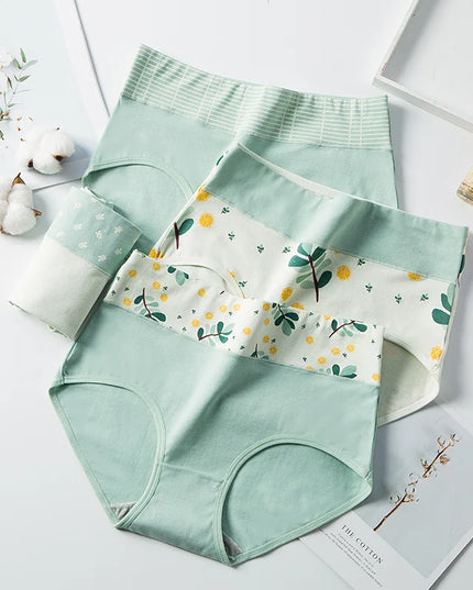 High-Waisted 4-Piece Cotton Panty Set for Women - Fashionable Body Shaper Briefs