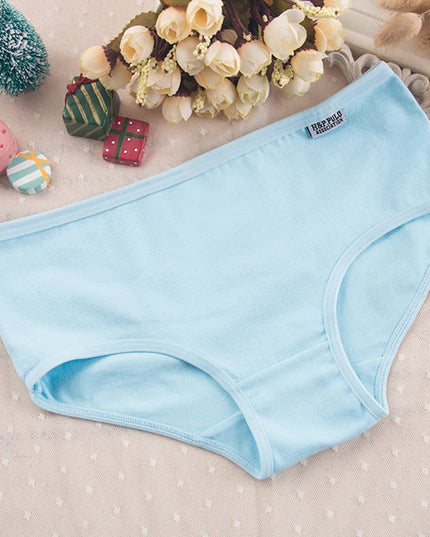 10 Piece Women's Cotton Seamless Boxer Briefs - Comfortable Breathable Underwear for Women