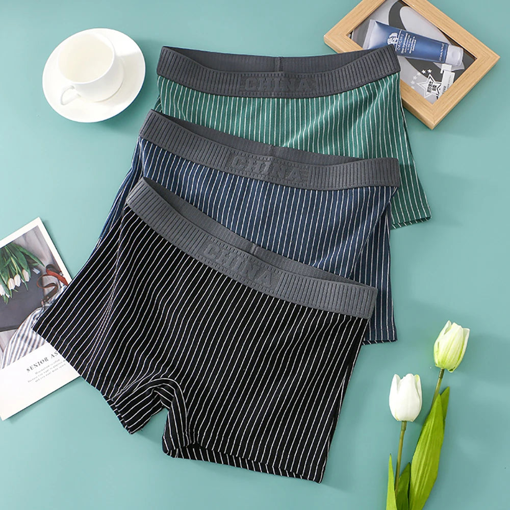 3PCS Women's Cotton Briefs Pack – Soft, Breathable, High Elasticity, Striped Mid-Rise Underwear for Women