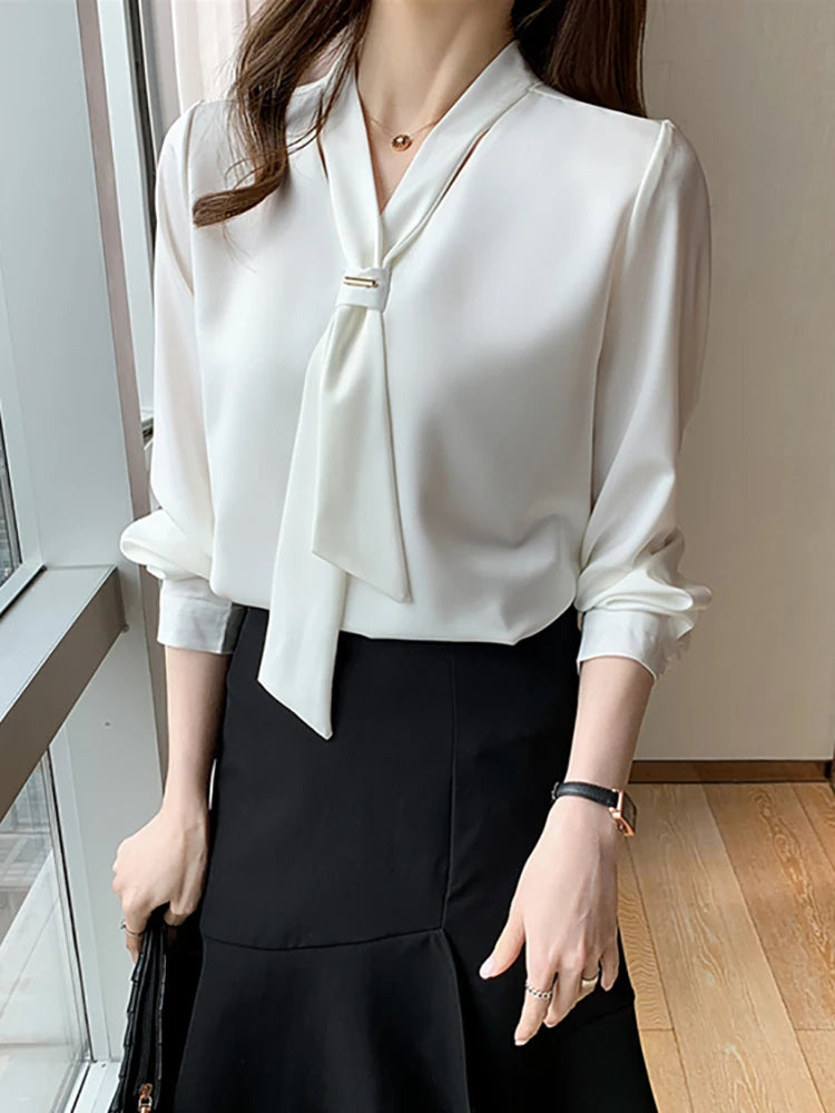 Women's Long Sleeve Chiffon Blouse Shirt