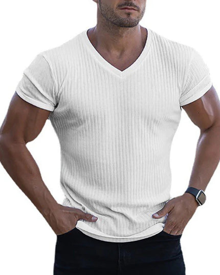 Men's Slim Fit V-Neck T-Shirt