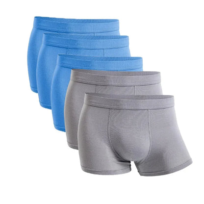 Five-Pack Bamboo Boxers for Men