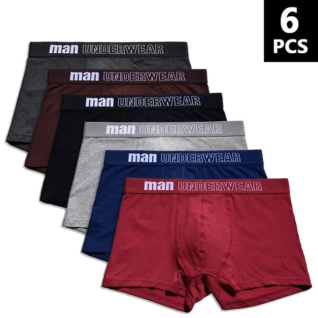 6Pieces  Men's Underwear   Boxer Shorts   Cotton Breathable Men's Underwear M-3XL