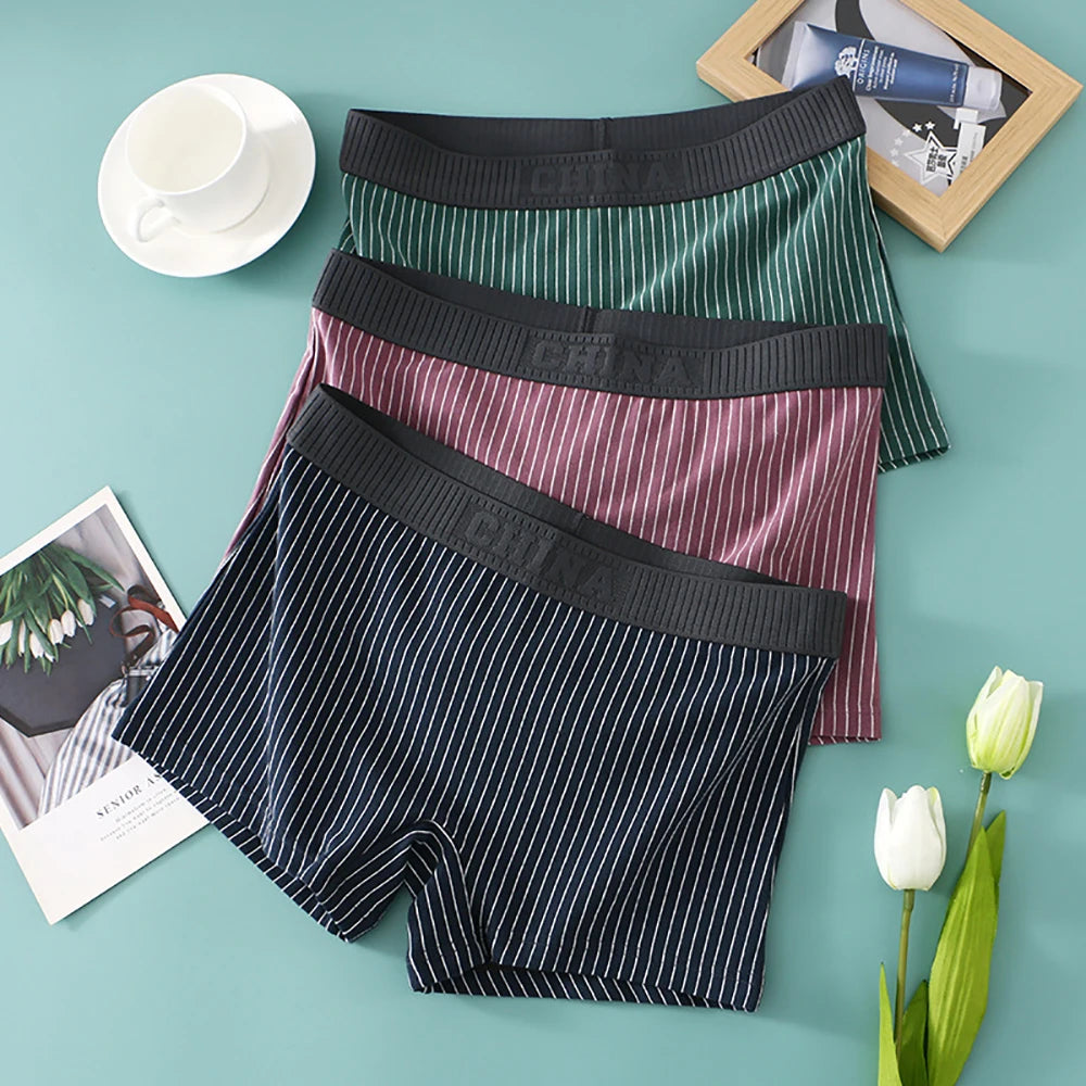 3PCS Women's Cotton Briefs Pack – Soft, Breathable, High Elasticity, Striped Mid-Rise Underwear for Women