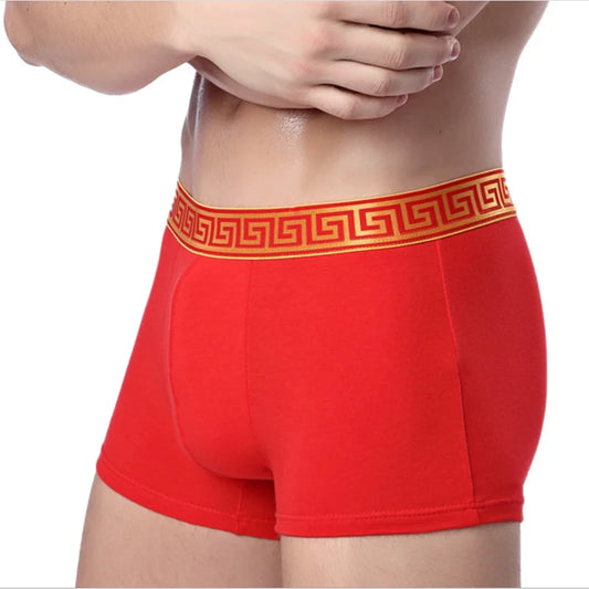Men's Cotton Boxer Briefs 
