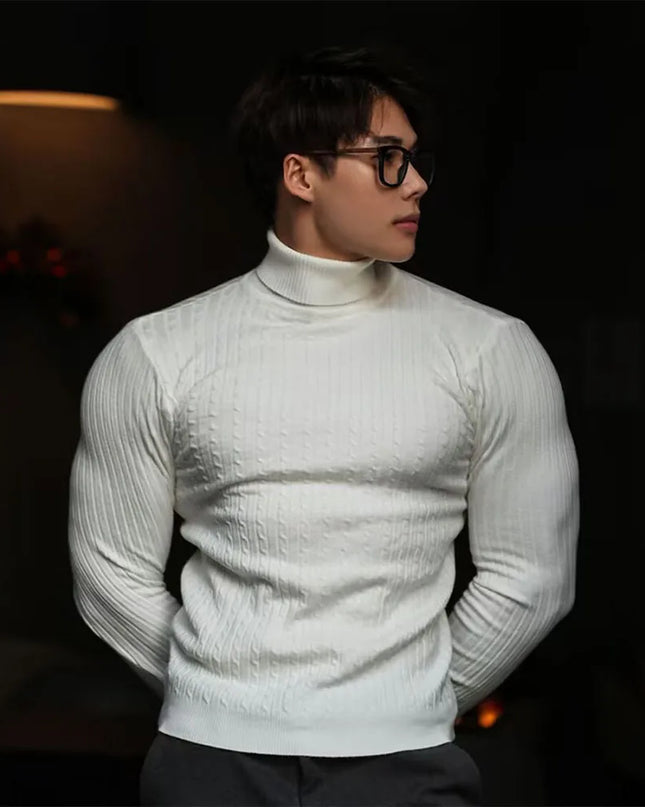 Men's Striped Knit Long Sleeve Turtleneck Sweater