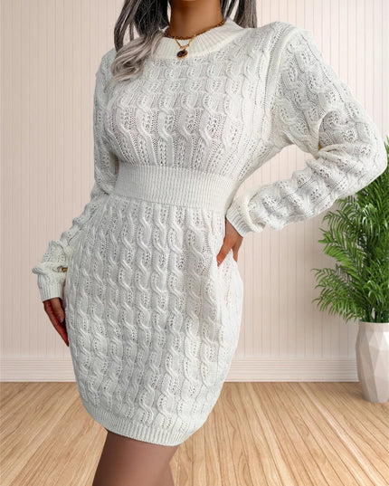 Women's Long Sleeve Knit Sweater Dress – Bodycon Crewneck Pullover