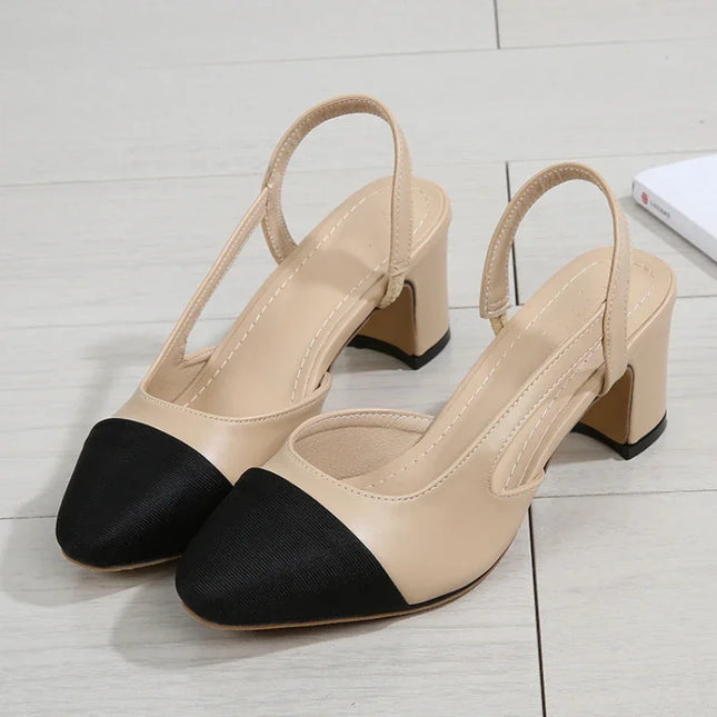 Women's Pointed Toe Sandals with Low Square Heels