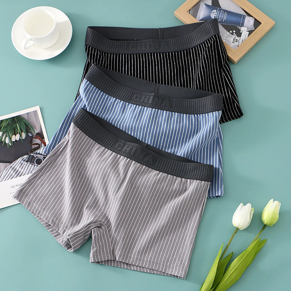 3PCS Women's Cotton Briefs Pack – Soft, Breathable, High Elasticity, Striped Mid-Rise Underwear for Women