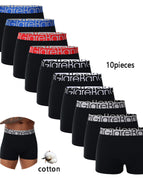 10pc-W11-1 / L