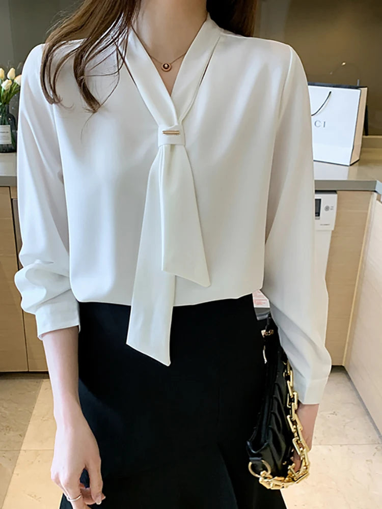 Women's Long Sleeve Chiffon Blouse Shirt