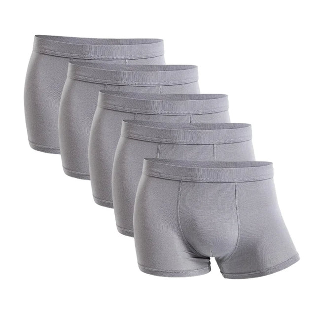 Five-Pack Bamboo Boxers for Men