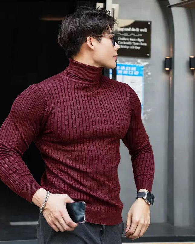 Men's Striped Knit Long Sleeve Turtleneck Sweater