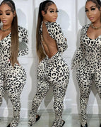 White Leopard / S