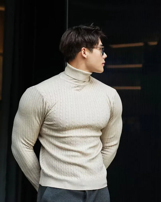 Men's Striped Knit Long Sleeve Turtleneck Sweater