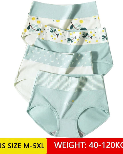 High-Waisted 4-Piece Cotton Panty Set for Women - Fashionable Body Shaper Briefs