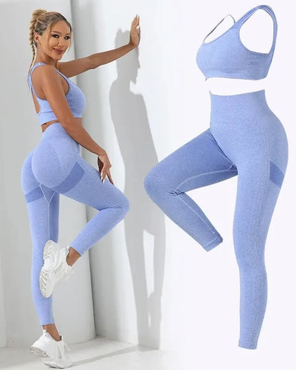 Womens Two-Piece Seamless High-Stretch Workout Outfit Set