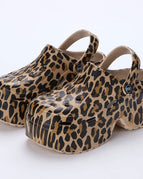 Leopard / 35-36