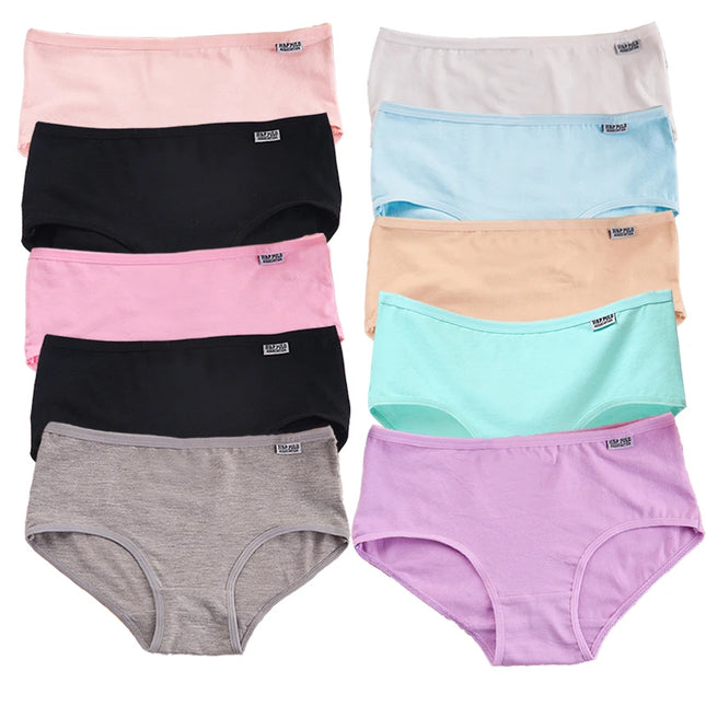 10 Piece Women's Cotton Seamless Boxer Briefs - Comfortable Breathable Underwear for Women