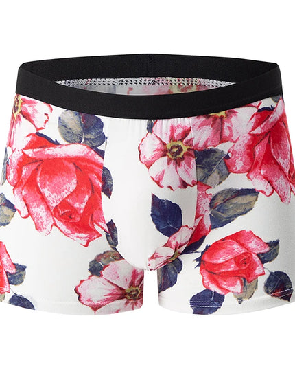 10-Pack Men's Assorted Fashion Print Hipster Briefs with Elastic Waistband