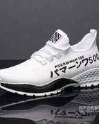 White / 43