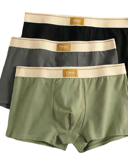 3-Pack Cotton Boxer Shorts for Men - Breathable and Comfortable Underwear