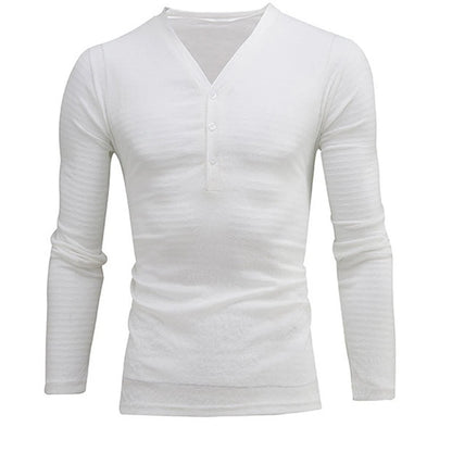 Men's Slim Fit Long Sleeve Deep V-Neck Sheer Sweater