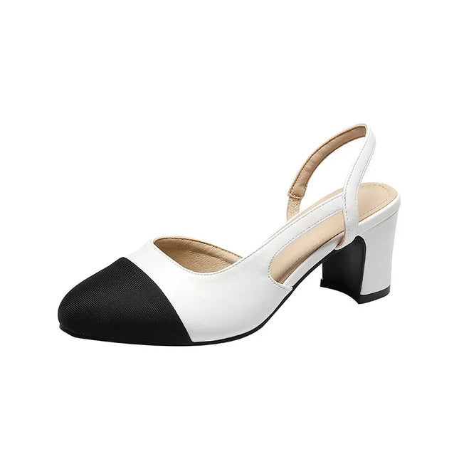 Women's Pointed Toe Sandals with Low Square Heels