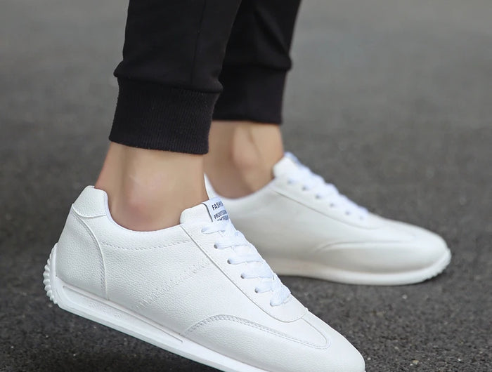 <h1>Sneakers</h1>
