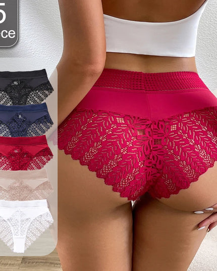 5-Pair Women's Lace High-Waist Sheer Triangle Panties