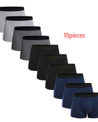 10pc-W2-3 / L