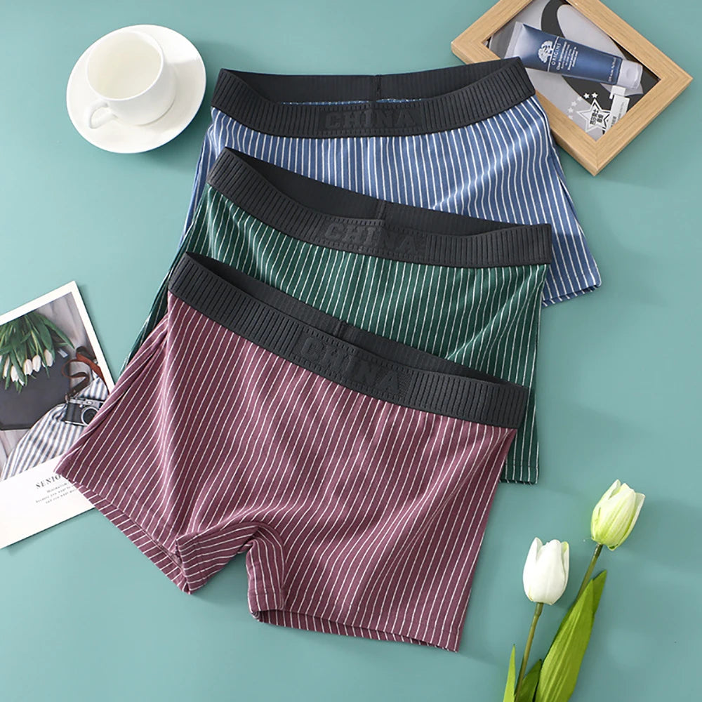 3PCS Women's Cotton Briefs Pack – Soft, Breathable, High Elasticity, Striped Mid-Rise Underwear for Women