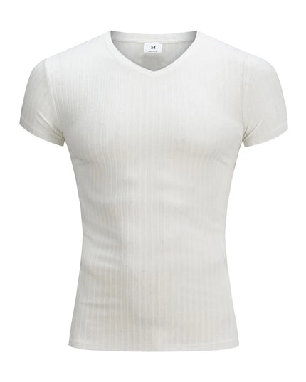 Men's Slim Fit V-Neck T-Shirt