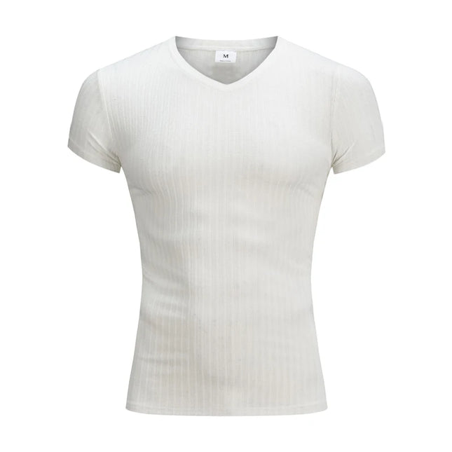 Men's Slim Fit V-Neck T-Shirt